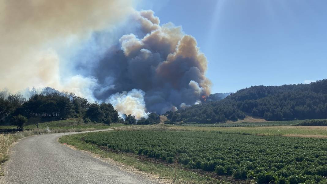 Çanakkale'deki Tarihi Alan'ın güney hattı ziyarete açıldı! Orman yangınında kapatılmıştı - Resim: 14
